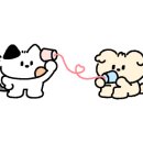 오일내 신촌점 이미지