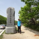 삼수령목장 이미지