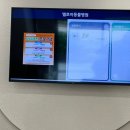 엘로이 동물병원 | 정자동 중심상가 반려동물 반려견 병원 (수술전문) - 엘로이 동물병원