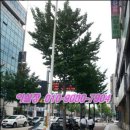 뉴법조타운 이미지