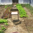 박곡농장 이미지