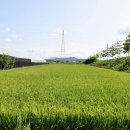 포두농장 이미지