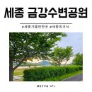 수변공원 | [세종]가볼만한 곳 금강수변공원 캠핑장 텐트 피크닉 후기 아기와 함께