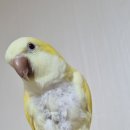 쥬쥬동물병원 이미지