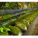 황악산아래 이미지