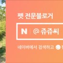 대영아쿠아