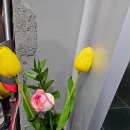 금메달고기짬뽕 이미지