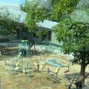 캐릭터그루밍 | [25’다카마쓰] 3박 4일 다카마쓰 여행, 다카마쓰에서 본 귀여운 것들 20가지