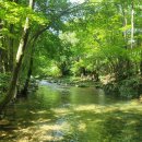 007흥정계곡 반딧불캠핑장 이미지