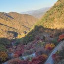 토닥토닭 이미지