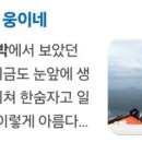 통영1박2일펜션민박 이미지