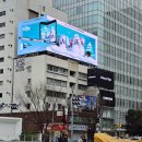 [도쿄&amp;후지산 여행] 6. 시부야부터 롯폰기까지 걷기