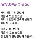 그순간꽃 이미지