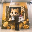 라라퍼피 | 고양이 집사 추천! 냥냥펀치 캣쇼 킨텍스 후기 &amp; 부산 / 마곡 팁!