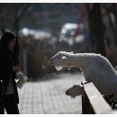 오-월드 이미지