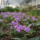 이화농장 이미지