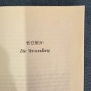 프란츠 카프카의 <변신> 후기 ; 실존주의 이전에 실존을 말하다