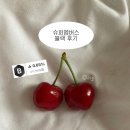 슈퍼멤버스 블랙 승급 후기 | 블로그 체험단 등급 순위