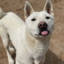 준독트레이닝센터 이미지