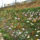 ㈜호정산업 이미지