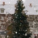 아이패드로 배우는 펜 드로잉 이미지