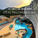 씨유평택동문3단지점 | 덕산 예산 스플라스 리솜 리조트 플렉스 클린룸 내돈내산 솔직후기