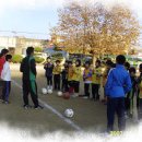 대전화정초등학교 이미지