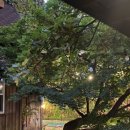 트리하우스민박 이미지