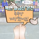 [창원힐링장소] 북면 마금산 온천 족욕장 개장 했어요!