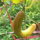 선유농장 이미지