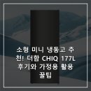 177 | 소형 미니 냉동고 추천! 더함 CHIQ 177L 후기와 가정용 활용 꿀팁