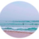 제주바다 - 종로구 종로35길 18 | 제주바다