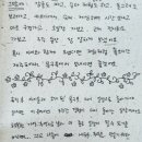 무릉초등학교 | 제주 대정읍 근처 맛집 리스트 (feat.실제 손님 후기) 제주한달살이숙소 몽구옥 긴글 주의 꿀정보