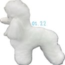 댕댕미용 이미지