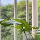 서경세탁소 이미지