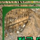 형제PC방 | 김포철거업체 PC방철거 철거+정리_Finish