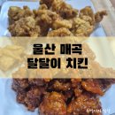 매곡2길 | [울산/매곡] 달달이 치킨 - 똥집 서비스까지!! 로컬 단골들이 찾는 치킨 맛집 후기🍗🍺