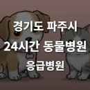 금쪽금쪽금쪽반려동물병원 | [경기도 파주시 24시간 동물병원(동패동)] 365일 연중무휴 반려동물 응급상황 대처 가능한 진료소