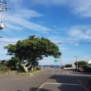 온평 열운이작은도서관 이미지