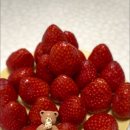 다영농장 이미지