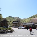 도시철도 동래역 3번출구 | [여수] 영취산(진례봉,510m) 산행후기---2026년 4월 7일(화)