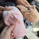 은어송로 77번길 이미지