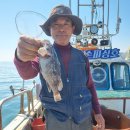 광어랑우럭이랑 이미지