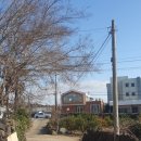 비아라테 이미지