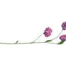 지곡유원지 이미지