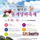 제천 송계 양파축제 2026년 방문 후기