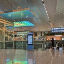 917 | 괌 비행기표 / 진에어 LJ917, LJ920 탑승 후기