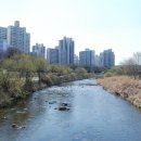 오리교1