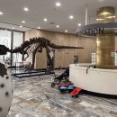 공룡로 | 보성 아이와 함께 비봉공룡공원 방문 후기