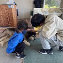 무지개어린이공원 | 안면도여행 태안ATV 무지개레포츠 익스트림코스 후기 ( 오프로드 정글숲 산 들 바다까지)